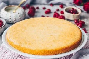 Easy Vegan Cake Sponge Recipe: Light & Fluffy! Discover Delicious Vegan Food, Beauty Swaps, and Zero-Waste Tips for a Greener Life Easy Vegan Cake Sponge Recipe: Light & Fluffy! | Discover Delicious Vegan Food, Beauty Swaps, and Zero-Waste Tips for a Greener Life