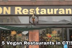 Best Vegan Restaurants in New Haven CT: Your Guide Discover Delicious Vegan Food, Beauty Swaps, and Zero-Waste Tips for a Greener Life Best Vegan Restaurants in New Haven CT: Your Guide | Discover Delicious Vegan Food, Beauty Swaps, and Zero-Waste Tips for a Greener Life