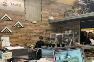 Your Farmacy Vegan Kitchen Bakery: Treats & Eats! Discover Delicious Vegan Food, Beauty Swaps, and Zero-Waste Tips for a Greener Life Your Farmacy Vegan Kitchen Bakery: Treats & Eats! | Discover Delicious Vegan Food, Beauty Swaps, and Zero-Waste Tips for a Greener Life