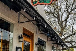 Best Raleigh NC Vegan Restaurants: Your Guide to Plant-Based Dining Discover Delicious Vegan Food, Beauty Swaps, and Zero-Waste Tips for a Greener Life Best Raleigh NC Vegan Restaurants: Your Guide to Plant-Based Dining | Discover Delicious Vegan Food, Beauty Swaps, and Zero-Waste Tips for a Greener Life