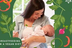 Vegan Breastfeeding: The Ultimate Diet & Nutrition Guide Discover Delicious Vegan Food, Beauty Swaps, and Zero-Waste Tips for a Greener Life Vegan Breastfeeding: The Ultimate Diet & Nutrition Guide | Discover Delicious Vegan Food, Beauty Swaps, and Zero-Waste Tips for a Greener Life