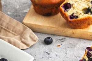 Fuel Your Gains: Blueberry Muffin Vegan Protein Powder Boost Discover Delicious Vegan Food, Beauty Swaps, and Zero-Waste Tips for a Greener Life Fuel Your Gains: Blueberry Muffin Vegan Protein Powder Boost | Discover Delicious Vegan Food, Beauty Swaps, and Zero-Waste Tips for a Greener Life