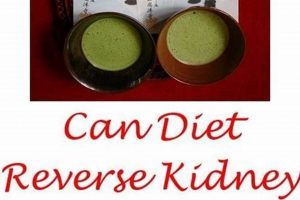 ICD-10 & Vegan Diets: Coding, Implications & More! Discover Delicious Vegan Food, Beauty Swaps, and Zero-Waste Tips for a Greener Life ICD-10 & Vegan Diets: Coding, Implications & More! | Discover Delicious Vegan Food, Beauty Swaps, and Zero-Waste Tips for a Greener Life