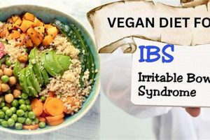 IBS Vegan Diet: Your Guide + Recipes! Discover Delicious Vegan Food, Beauty Swaps, and Zero-Waste Tips for a Greener Life IBS Vegan Diet: Your Guide + Recipes! | Discover Delicious Vegan Food, Beauty Swaps, and Zero-Waste Tips for a Greener Life