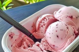 Delightful Vegan Berry Ice Cream: Recipes & Brands Discover Delicious Vegan Food, Beauty Swaps, and Zero-Waste Tips for a Greener Life Delightful Vegan Berry Ice Cream: Recipes & Brands | Discover Delicious Vegan Food, Beauty Swaps, and Zero-Waste Tips for a Greener Life