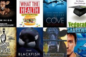 Must-See Vegan Documentaries: Films for Vegans Discover Delicious Vegan Food, Beauty Swaps, and Zero-Waste Tips for a Greener Life Must-See Vegan Documentaries: Films for Vegans | Discover Delicious Vegan Food, Beauty Swaps, and Zero-Waste Tips for a Greener Life
