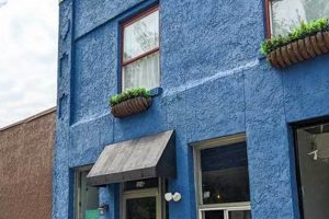 Best Vegan Bakery Asheville NC: Sweet Treats & More Discover Delicious Vegan Food, Beauty Swaps, and Zero-Waste Tips for a Greener Life Best Vegan Bakery Asheville NC: Sweet Treats & More | Discover Delicious Vegan Food, Beauty Swaps, and Zero-Waste Tips for a Greener Life