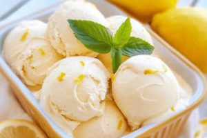 The Zesty Guide: Lemon Ice Cream, Vegan Delight! Discover Delicious Vegan Food, Beauty Swaps, and Zero-Waste Tips for a Greener Life The Zesty Guide: Lemon Ice Cream, Vegan Delight! | Discover Delicious Vegan Food, Beauty Swaps, and Zero-Waste Tips for a Greener Life
