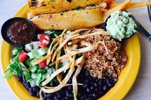 Best San Antonio Vegan Restaurants: Find Your Perfect Plant-Based Meal! Discover Delicious Vegan Food, Beauty Swaps, and Zero-Waste Tips for a Greener Life Best San Antonio Vegan Restaurants: Find Your Perfect Plant-Based Meal! | Discover Delicious Vegan Food, Beauty Swaps, and Zero-Waste Tips for a Greener Life