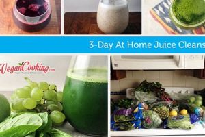Is a Vegan Juice Cleanse Diet Right For You? Discover Delicious Vegan Food, Beauty Swaps, and Zero-Waste Tips for a Greener Life Is a Vegan Juice Cleanse Diet Right For You? | Discover Delicious Vegan Food, Beauty Swaps, and Zero-Waste Tips for a Greener Life