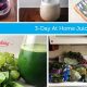 Is a Vegan Juice Cleanse Diet Right For You? | Discover Delicious Vegan Food, Beauty Swaps, and Zero-Waste Tips for a Greener Life