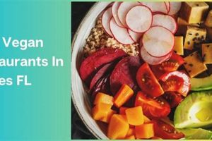 Find Top Vegan Restaurants in Naples, FL: Guide Discover Delicious Vegan Food, Beauty Swaps, and Zero-Waste Tips for a Greener Life Find Top Vegan Restaurants in Naples, FL: Guide | Discover Delicious Vegan Food, Beauty Swaps, and Zero-Waste Tips for a Greener Life