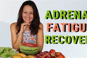 Combat Vegan Diet and Fatigue: Boost Your Energy Now! Discover Delicious Vegan Food, Beauty Swaps, and Zero-Waste Tips for a Greener Life Combat Vegan Diet and Fatigue: Boost Your Energy Now! | Discover Delicious Vegan Food, Beauty Swaps, and Zero-Waste Tips for a Greener Life
