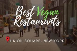 Find Vegan Eats: Best Vegan Restaurants Near Union Square Discover Delicious Vegan Food, Beauty Swaps, and Zero-Waste Tips for a Greener Life Find Vegan Eats: Best Vegan Restaurants Near Union Square | Discover Delicious Vegan Food, Beauty Swaps, and Zero-Waste Tips for a Greener Life