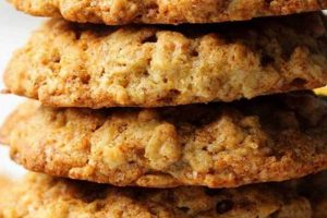 Best Vegan Oatmeal Banana Cookies Recipes + Tips! Discover Delicious Vegan Food, Beauty Swaps, and Zero-Waste Tips for a Greener Life Best Vegan Oatmeal Banana Cookies Recipes + Tips! | Discover Delicious Vegan Food, Beauty Swaps, and Zero-Waste Tips for a Greener Life