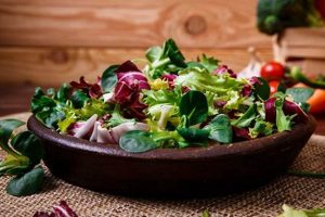 Your Guide to Vegan Restaurants in Brandon, FL & Beyond Discover Delicious Vegan Food, Beauty Swaps, and Zero-Waste Tips for a Greener Life Your Guide to Vegan Restaurants in Brandon, FL & Beyond | Discover Delicious Vegan Food, Beauty Swaps, and Zero-Waste Tips for a Greener Life
