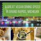 Your Guide to Grand Rapids Vegan Food [Year]! | Discover Delicious Vegan Food, Beauty Swaps, and Zero-Waste Tips for a Greener Life