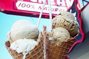 Best Vegan Ice Cream in San Diego: Local & Delicious Discover Delicious Vegan Food, Beauty Swaps, and Zero-Waste Tips for a Greener Life Best Vegan Ice Cream in San Diego: Local & Delicious | Discover Delicious Vegan Food, Beauty Swaps, and Zero-Waste Tips for a Greener Life