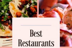 Best Vegan Restaurants in Atlantic City: Your Guide! Discover Delicious Vegan Food, Beauty Swaps, and Zero-Waste Tips for a Greener Life Best Vegan Restaurants in Atlantic City: Your Guide! | Discover Delicious Vegan Food, Beauty Swaps, and Zero-Waste Tips for a Greener Life