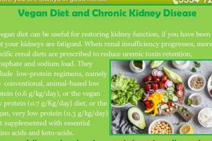 Vegan Diet & Kidney Disease: A Renal-Friendly Guide Discover Delicious Vegan Food, Beauty Swaps, and Zero-Waste Tips for a Greener Life Vegan Diet & Kidney Disease: A Renal-Friendly Guide | Discover Delicious Vegan Food, Beauty Swaps, and Zero-Waste Tips for a Greener Life