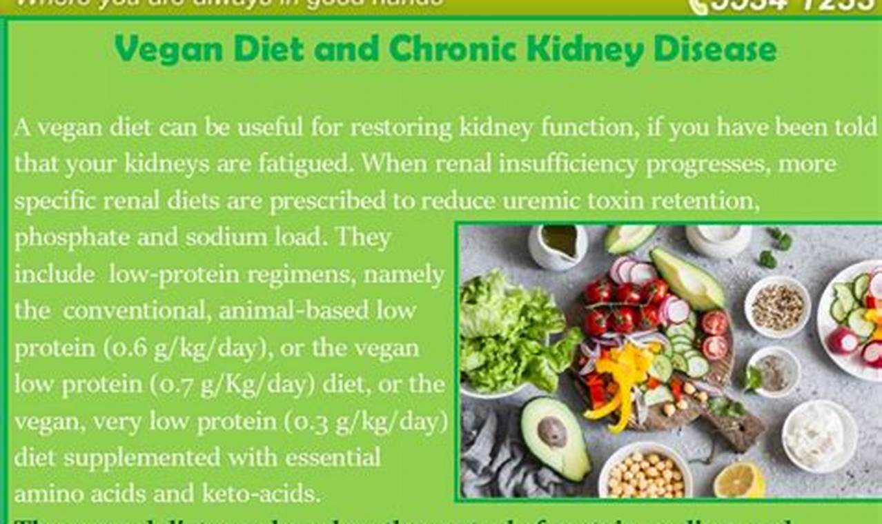 Vegan Diet & Kidney Disease: A Renal-Friendly Guide Discover Delicious Vegan Food, Beauty Swaps, and Zero-Waste Tips for a Greener Life Vegan Diet & Kidney Disease: A Renal-Friendly Guide | Discover Delicious Vegan Food, Beauty Swaps, and Zero-Waste Tips for a Greener Life