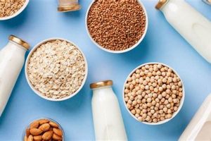 Fuel Your Body: Vegan Protein Milk Power! Discover Delicious Vegan Food, Beauty Swaps, and Zero-Waste Tips for a Greener Life Fuel Your Body: Vegan Protein Milk Power! | Discover Delicious Vegan Food, Beauty Swaps, and Zero-Waste Tips for a Greener Life