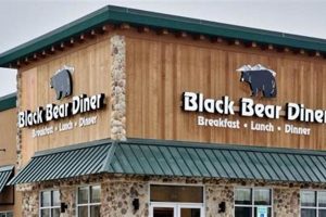 Exploring Black Bear Diner Vegan Options: A Guide + Tips Discover Delicious Vegan Food, Beauty Swaps, and Zero-Waste Tips for a Greener Life Exploring Black Bear Diner Vegan Options: A Guide + Tips | Discover Delicious Vegan Food, Beauty Swaps, and Zero-Waste Tips for a Greener Life