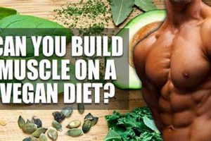 Is Raw Vegan Bodybuilding Diet Right For You? Discover Delicious Vegan Food, Beauty Swaps, and Zero-Waste Tips for a Greener Life Is Raw Vegan Bodybuilding Diet Right For You? | Discover Delicious Vegan Food, Beauty Swaps, and Zero-Waste Tips for a Greener Life