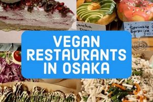 Your Guide to Vegan Food in Osaka: Eats & Treats! Discover Delicious Vegan Food, Beauty Swaps, and Zero-Waste Tips for a Greener Life Your Guide to Vegan Food in Osaka: Eats & Treats! | Discover Delicious Vegan Food, Beauty Swaps, and Zero-Waste Tips for a Greener Life