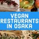 Your Guide to Vegan Food in Osaka: Eats & Treats! | Discover Delicious Vegan Food, Beauty Swaps, and Zero-Waste Tips for a Greener Life