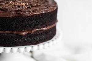 Easy 5 Ingredient Vegan Chocolate Cake Recipe! Discover Delicious Vegan Food, Beauty Swaps, and Zero-Waste Tips for a Greener Life Easy 5 Ingredient Vegan Chocolate Cake Recipe! | Discover Delicious Vegan Food, Beauty Swaps, and Zero-Waste Tips for a Greener Life