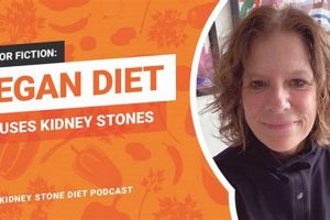 Vegan Diet & Kidney Stones: Risks, Prevention Tips Discover Delicious Vegan Food, Beauty Swaps, and Zero-Waste Tips for a Greener Life Vegan Diet & Kidney Stones: Risks, Prevention Tips | Discover Delicious Vegan Food, Beauty Swaps, and Zero-Waste Tips for a Greener Life
