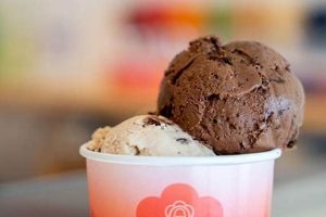 Best Vegan Ice Cream Houston: Cool Treats & More Discover Delicious Vegan Food, Beauty Swaps, and Zero-Waste Tips for a Greener Life Best Vegan Ice Cream Houston: Cool Treats & More | Discover Delicious Vegan Food, Beauty Swaps, and Zero-Waste Tips for a Greener Life