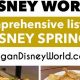 Vegan Eats: Disney Springs Vegan Options Guide | Discover Delicious Vegan Food, Beauty Swaps, and Zero-Waste Tips for a Greener Life