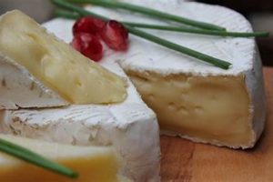 Best Vegan Cheese Cultures: Crafting Delicious Vegan Cheese Discover Delicious Vegan Food, Beauty Swaps, and Zero-Waste Tips for a Greener Life Best Vegan Cheese Cultures: Crafting Delicious Vegan Cheese | Discover Delicious Vegan Food, Beauty Swaps, and Zero-Waste Tips for a Greener Life