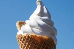 Dive into Dairy-Free: Vegan Ice Cream Providence, RI! Discover Delicious Vegan Food, Beauty Swaps, and Zero-Waste Tips for a Greener Life Dive into Dairy-Free: Vegan Ice Cream Providence, RI! | Discover Delicious Vegan Food, Beauty Swaps, and Zero-Waste Tips for a Greener Life