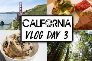 Guide to Vegan Food Napa Valley (2024) Discover Delicious Vegan Food, Beauty Swaps, and Zero-Waste Tips for a Greener Life Guide to Vegan Food Napa Valley (2024) | Discover Delicious Vegan Food, Beauty Swaps, and Zero-Waste Tips for a Greener Life
