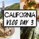 Guide to Vegan Food Napa Valley (2024) | Discover Delicious Vegan Food, Beauty Swaps, and Zero-Waste Tips for a Greener Life