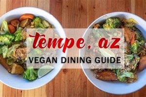 Best Vegan Food in Tempe, AZ: Your Guide + More! Discover Delicious Vegan Food, Beauty Swaps, and Zero-Waste Tips for a Greener Life Best Vegan Food in Tempe, AZ: Your Guide + More! | Discover Delicious Vegan Food, Beauty Swaps, and Zero-Waste Tips for a Greener Life