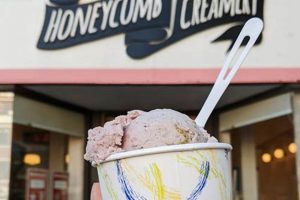 The Coolest Boston Vegan Ice Cream: Flavors & More! Discover Delicious Vegan Food, Beauty Swaps, and Zero-Waste Tips for a Greener Life The Coolest Boston Vegan Ice Cream: Flavors & More! | Discover Delicious Vegan Food, Beauty Swaps, and Zero-Waste Tips for a Greener Life