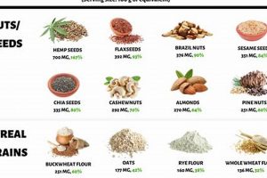 Vegan Diet Magnesium: Sources, Benefits & Tips Discover Delicious Vegan Food, Beauty Swaps, and Zero-Waste Tips for a Greener Life Vegan Diet Magnesium: Sources, Benefits & Tips | Discover Delicious Vegan Food, Beauty Swaps, and Zero-Waste Tips for a Greener Life