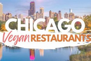 Chicago's Best: Urban Vegan Restaurant Guide + More! Discover Delicious Vegan Food, Beauty Swaps, and Zero-Waste Tips for a Greener Life Chicago's Best: Urban Vegan Restaurant Guide + More! | Discover Delicious Vegan Food, Beauty Swaps, and Zero-Waste Tips for a Greener Life