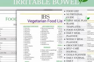 Is Vegan Diet Good for Irritable Bowel Syndrome? Discover Delicious Vegan Food, Beauty Swaps, and Zero-Waste Tips for a Greener Life Is Vegan Diet Good for Irritable Bowel Syndrome? | Discover Delicious Vegan Food, Beauty Swaps, and Zero-Waste Tips for a Greener Life