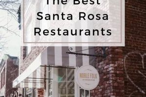 Best Santa Rosa Vegan Restaurants: Guide + More! Discover Delicious Vegan Food, Beauty Swaps, and Zero-Waste Tips for a Greener Life Best Santa Rosa Vegan Restaurants: Guide + More! | Discover Delicious Vegan Food, Beauty Swaps, and Zero-Waste Tips for a Greener Life