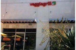 Guide to Carlsbad CA Vegan Restaurants & Eateries Discover Delicious Vegan Food, Beauty Swaps, and Zero-Waste Tips for a Greener Life Guide to Carlsbad CA Vegan Restaurants & Eateries | Discover Delicious Vegan Food, Beauty Swaps, and Zero-Waste Tips for a Greener Life