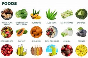Help, Constipated on Vegan Diet? Tips & Relief Discover Delicious Vegan Food, Beauty Swaps, and Zero-Waste Tips for a Greener Life Help, Constipated on Vegan Diet? Tips & Relief | Discover Delicious Vegan Food, Beauty Swaps, and Zero-Waste Tips for a Greener Life