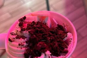 Best Vegan Ice Cream in San Francisco: Scoops & Spots Discover Delicious Vegan Food, Beauty Swaps, and Zero-Waste Tips for a Greener Life Best Vegan Ice Cream in San Francisco: Scoops & Spots | Discover Delicious Vegan Food, Beauty Swaps, and Zero-Waste Tips for a Greener Life