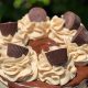 Best Vegan Cakes Charlotte NC: Sweet Treats Near You! | Discover Delicious Vegan Food, Beauty Swaps, and Zero-Waste Tips for a Greener Life