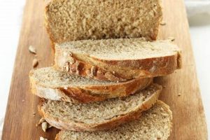 Vegan Whole Grain Bread? Find Out Now! Discover Delicious Vegan Food, Beauty Swaps, and Zero-Waste Tips for a Greener Life Vegan Whole Grain Bread? Find Out Now! | Discover Delicious Vegan Food, Beauty Swaps, and Zero-Waste Tips for a Greener Life
