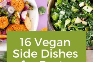 Top-Rated Best Vegan Side Dishes: Recipes + More Discover Delicious Vegan Food, Beauty Swaps, and Zero-Waste Tips for a Greener Life Top-Rated Best Vegan Side Dishes: Recipes + More | Discover Delicious Vegan Food, Beauty Swaps, and Zero-Waste Tips for a Greener Life